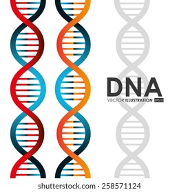 DNA design, vector illustration.