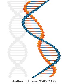 DNA design, vector illustration.