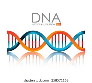 DNA design, vector illustration.