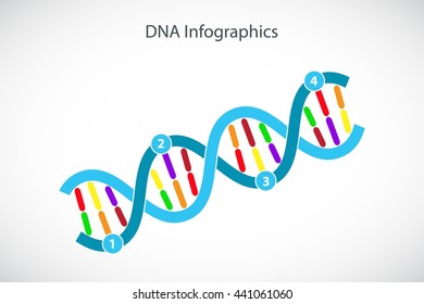 DNA diagonal growing timeline, Process template. Vector infographics.