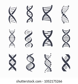 Dna different icons set, a molecule that carries the genetic instructions represented on vector illustration isolated on white background