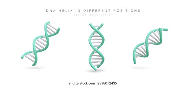 DNA double helix in different positions. Part of human genetic code, genome. Symbol of life secrets. Isolated vector image with shadows. Color icons for web design