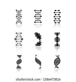 DNA double helix drop shadow black glyph icons set. Deoxyribonucleic, nucleic acid. Spiraling strands. Chromosome. Molecular biology. Genetic code. Genome. Genetics. Isolated vector illustrations