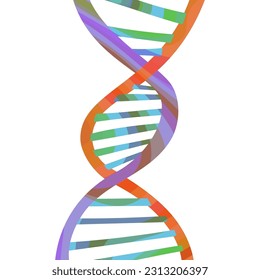 DNA double helix - hand drawn vector illustration.