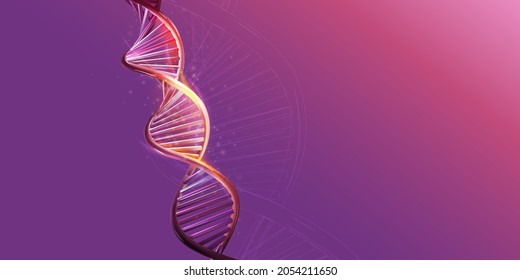 DNA Double Helix Model On A Purple Background.