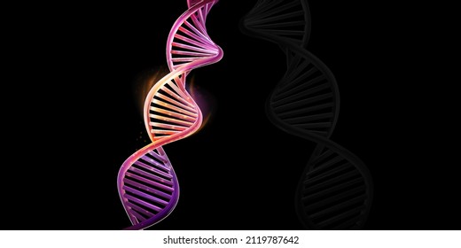 DNA Double Helix Model On A Black Background.