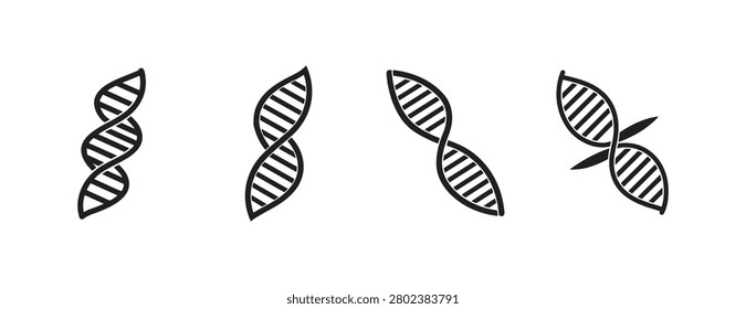 DNA double helix molecular structure illustrations in different orientations and styles for science and genetics concepts various twisted ladder representations