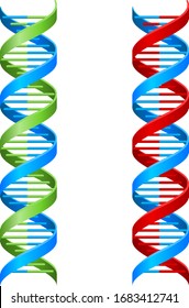 A DNA double helix molecule illustration in two color variations