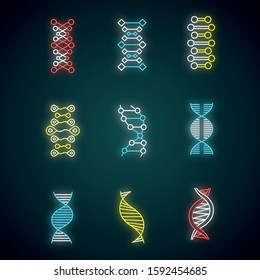 DNA double helix neon light icons set. Deoxyribonucleic, nucleic acid structure. Chromosome. Molecular biology. Genetic code. Genome. Genetics. Medicine. Glowing signs. Vector isolated illustrations