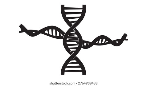 DNA Double Helix Structure Illustration, Black and White, Science Concept