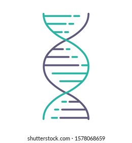 DNA Double Helix Violet And Turquoise Color Icon. Deoxyribonucleic, Nucleic Acid Structure. Spiraling Strands. Chromosome. Molecular Biology. Genetic Code. Genome. Isolated Vector Illustration