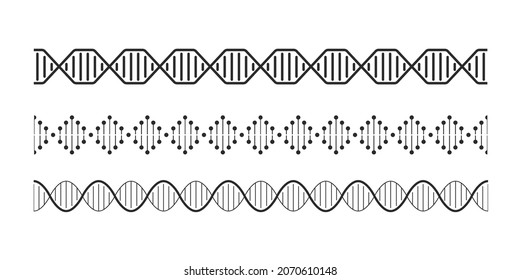 DNA Elements. Helix Double Chromosomes Model Molecule. Seamless Spiral Line. Graphic Braid. Scientific Infographic Template. Encoded Genetic Information. Vector Genome Linear Prints Set