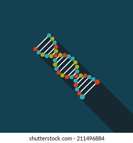 DNA flat icon with long shadow