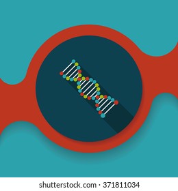 DNA flat icon with long shadow