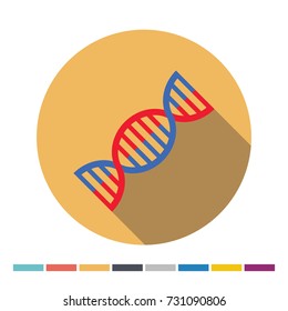 DNA flat icon with long shadow. Vector Illustration.