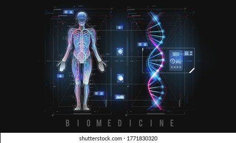 DNA Formula And Molecular Structure Human Body. Future Concept. Scan Human Organs. Vector HUD. Display Set Of Virtual Interface Elements. Modern Medical Examination Style.