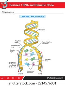 El ADN y el código genético, que son el tema de la ciencia y la biología, la estructura de las cadenas de ADN y nucleótido