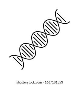 dna genetic icon isolated white background vector illustration