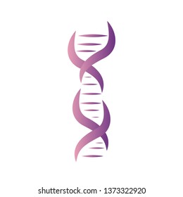DNA, genetic sign, elements and icons collection