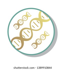 DNA, genetic sign, elements and icons collection