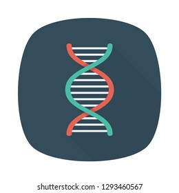 DNA  genetics   strand  