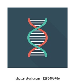 DNA  genetics   strand  