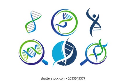 DNA Genetics Template Set