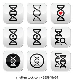 DNA, genetics vector buttons set