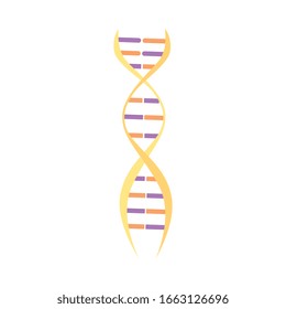 DNA or genome molecule medical icon vector illustration isolated on white background for web and mobile apps. Biotechnology concept of human genetic evolution.