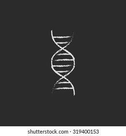 DNA hand drawn in chalk on a blackboard vector white icon isolated on a black background.