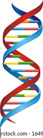 DNA Helix