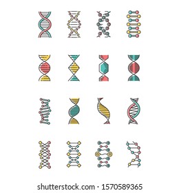 DNA helix color icons set. Deoxyribonucleic, nucleic acid structure. Spiraling strands. Chromosome. Molecular biology. Genetic code. Genome. Genetics. Medicine. Isolated vector illustrations