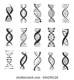 DNA helix, a genetic sign vector icons on a white background. Design elements for modern medicine, biology and science. Dark symbols of double human chain DNA molecule. 