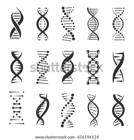 DNA helix, a genetic sign vector icons on a white background. Design elements for modern medicine, biology and science. Dark symbols of double human chain DNA molecule. 