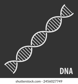 DNA Helix icon, human genetic symbol