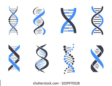 DNA helix patterns colorful vector illustration isolated on white backdrop, blue and black coiled around DNA strands, flexible lines and many circles