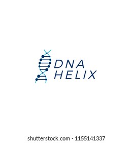 DNA helix strand vector logo element illustration