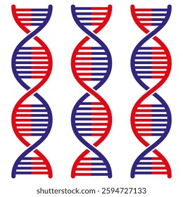DNA helix strands. Red blue genetic structure. Molecular vector concept. Science biology symbol. EPS 10.