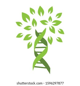 DNA helix surrounded by tree leaves, vector