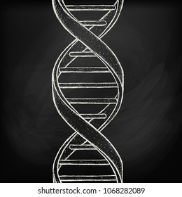 Dna helix symbol on chalk board background. Gene icon. Handdraw vector illustration.