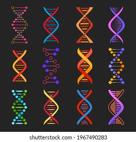 DNA helix vector icons of genetics medicine and biotechnology. Isolated molecules of DNA double strand, colorful chains of human chromosome, gene legacy and genome evolution design