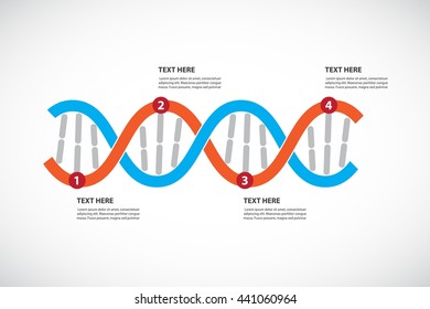 DNA Horizontal Timeline, Process Template. Vector Infographics.