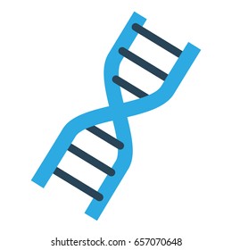 DNA human genetic