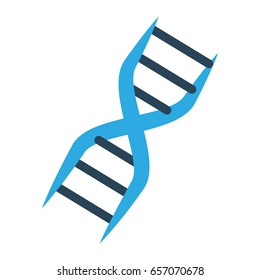DNA human genetic