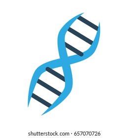 DNA human genetic