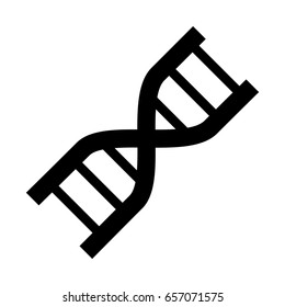 DNA human genetic