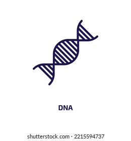 dna icon from education collection. Thin linear dna, research, biology outline icon isolated on white background. Line vector dna sign, symbol for web and mobile