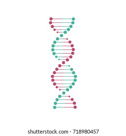 DNA icon isolated on white background. Vector illustration