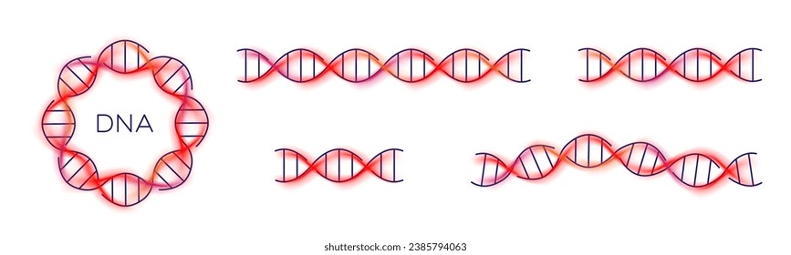 Icono de ADN, estructura de molécula genética larga, conjunto de color dna
