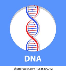 DNA Icon molecule helix spiral Medical science, genetic biotechnology, chemistry biology, gene cell concept Vector